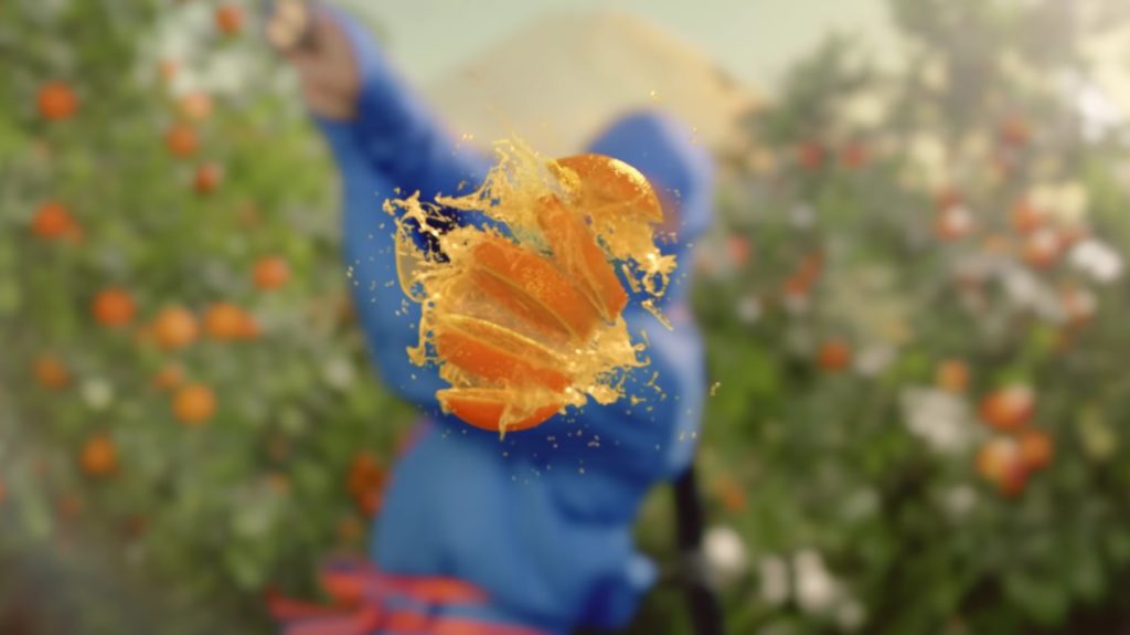 الشكل الجديد