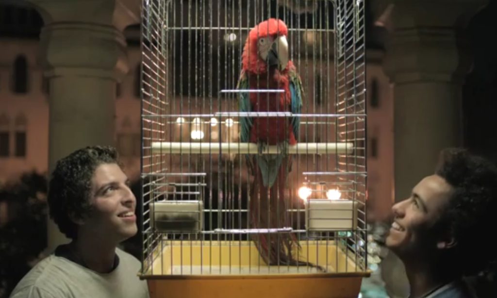 حكاوي كل حاجة اكثر