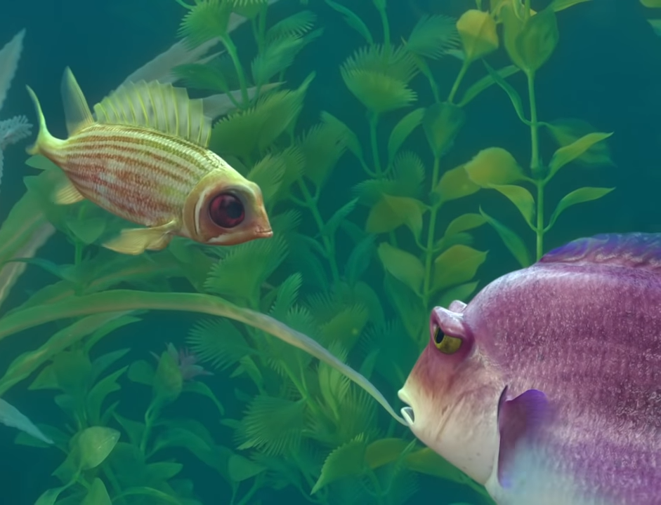 النت كل يوم جديد