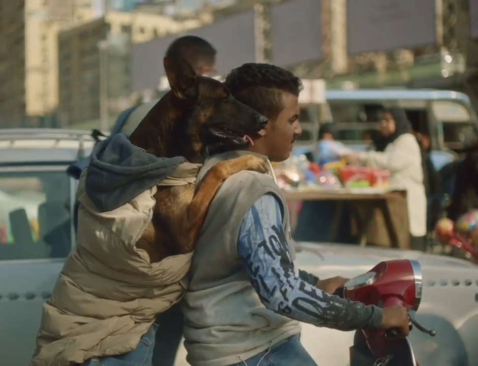 سويڤل منطقي