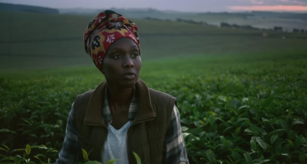 الطبية مصنعنا