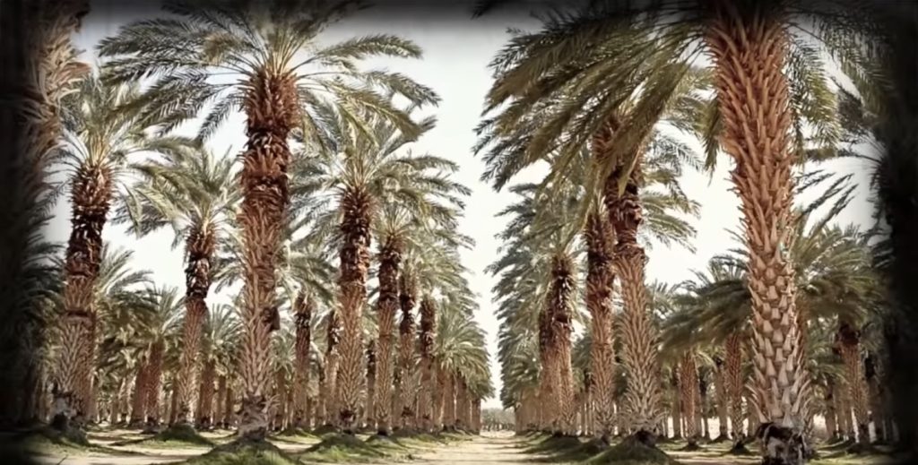 تغذي حياتك كل يوم