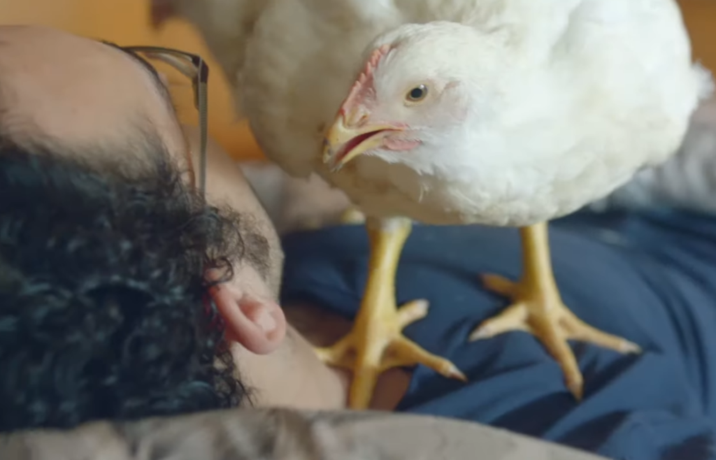 انت ازاي ماشي من غير دانون