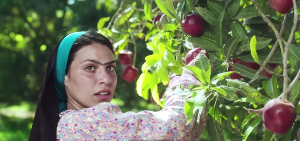 إندهاشة البرنس