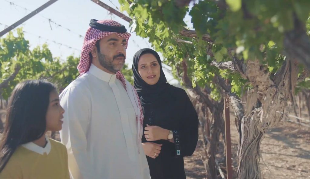 لمسة تبوك